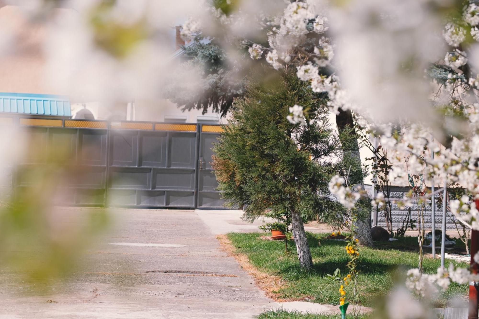 Apartman Marta I Soba Maja Gradiste Εξωτερικό φωτογραφία